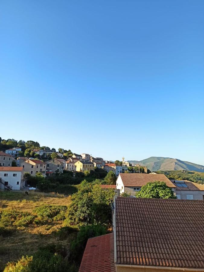 Appartamento Chez Laurette Murato Esterno foto
