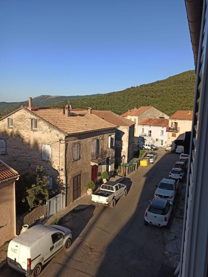 Appartamento Chez Laurette Murato Esterno foto