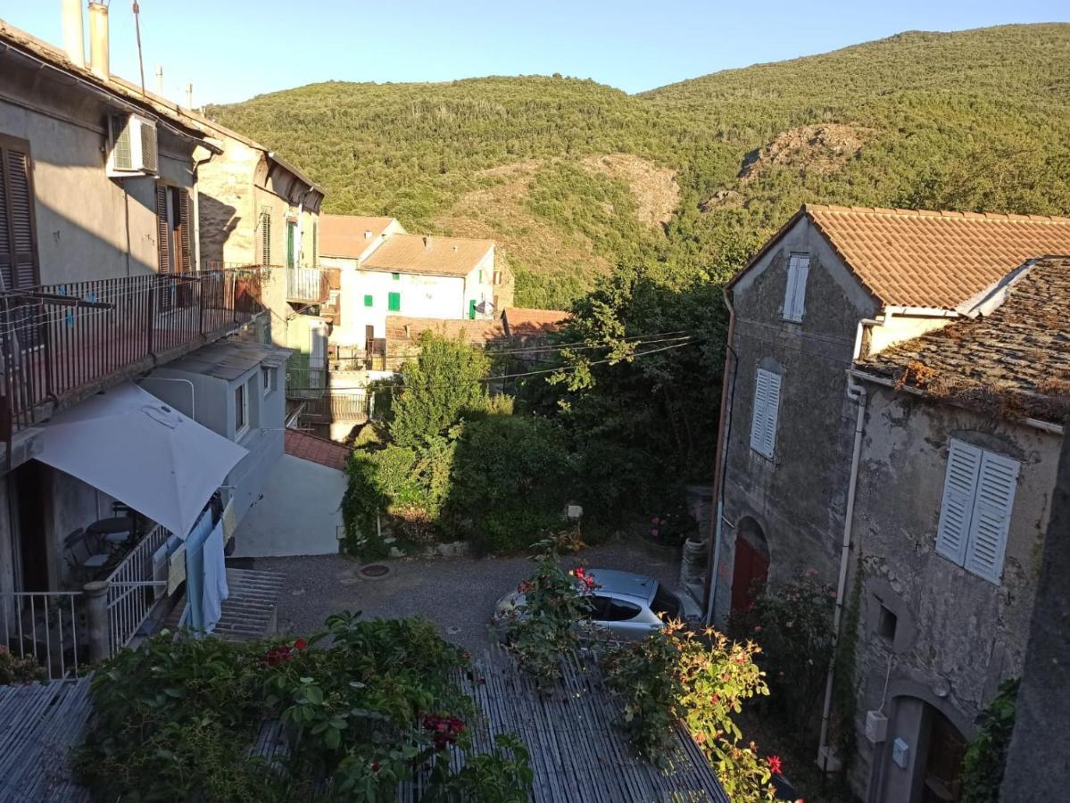 Appartamento Chez Laurette Murato Esterno foto